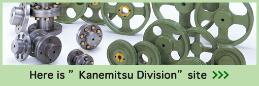 Here is "Kanemitsu Division" site